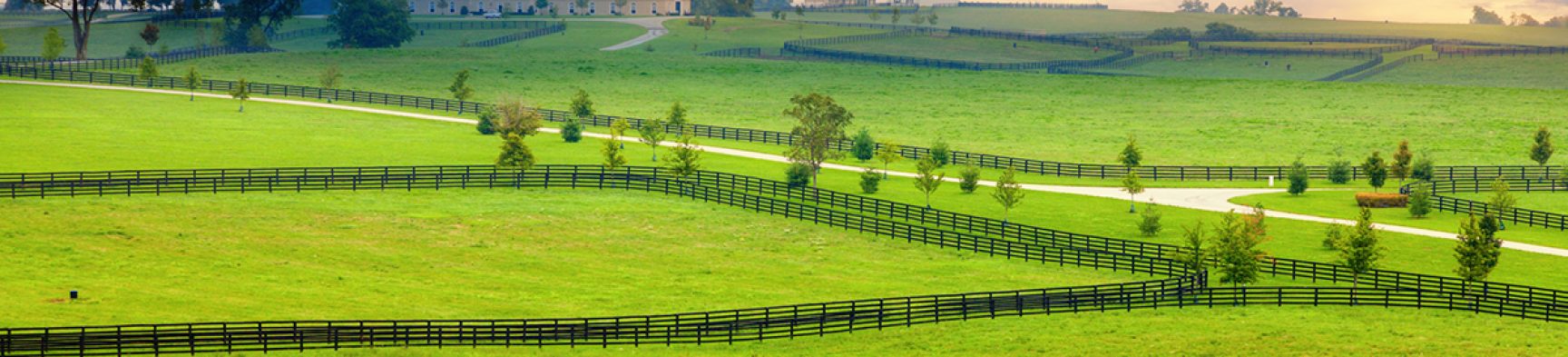 Imposto sobre propriedade rural